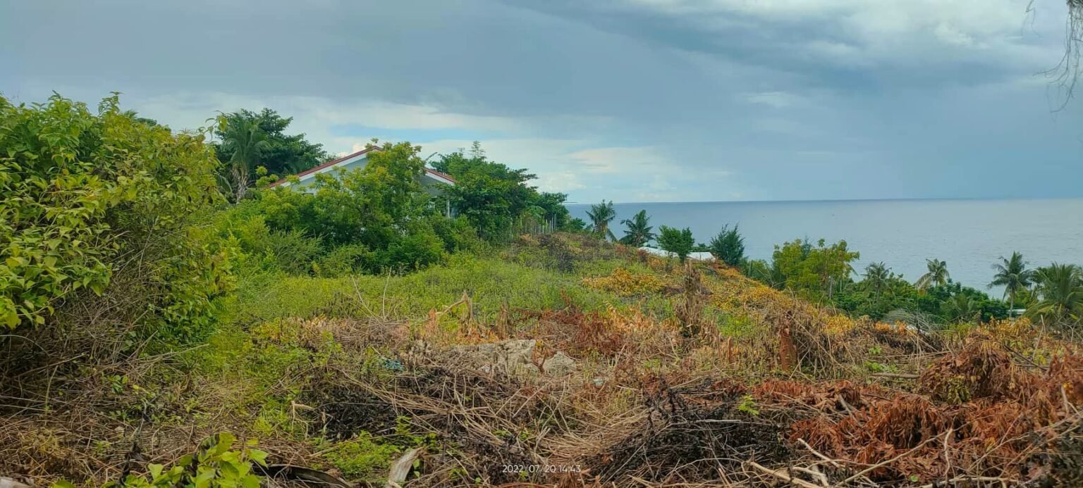 BEACH LOT FOR SALE at CRYSTAL BREEZE RESIDENCES in ALCOY CEBU Pagdato